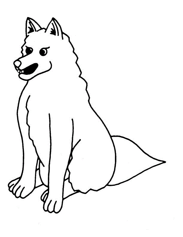 Free Coloring Pages of Coyote