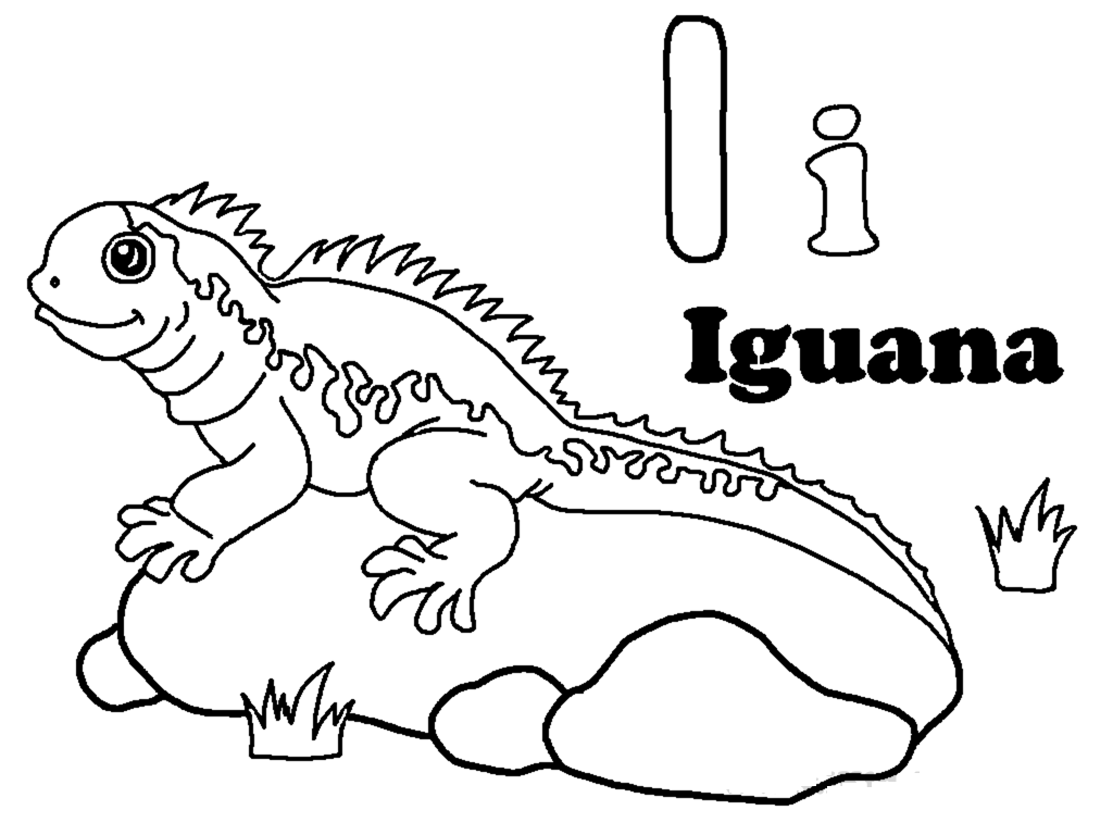 Free Printable Iguana Coloring Pages For Kids