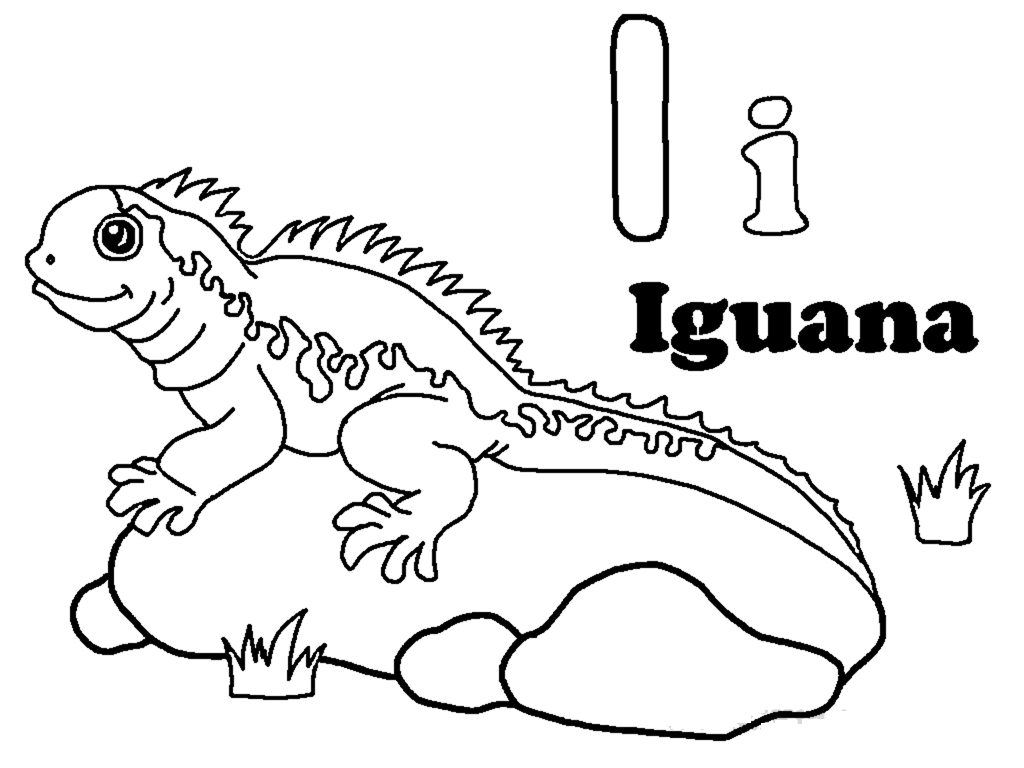 Download Free Printable Iguana Coloring Pages For Kids