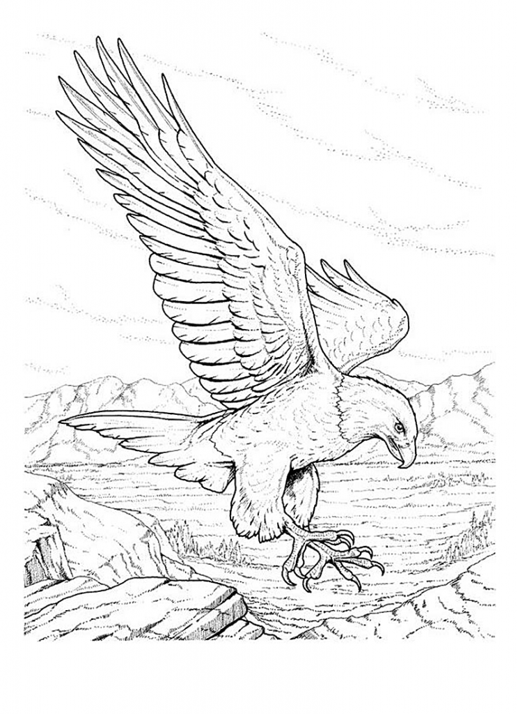 Coloriage Aigle A Imprimer