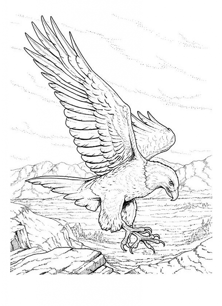 Free Printable Bald Eagle Coloring Pages