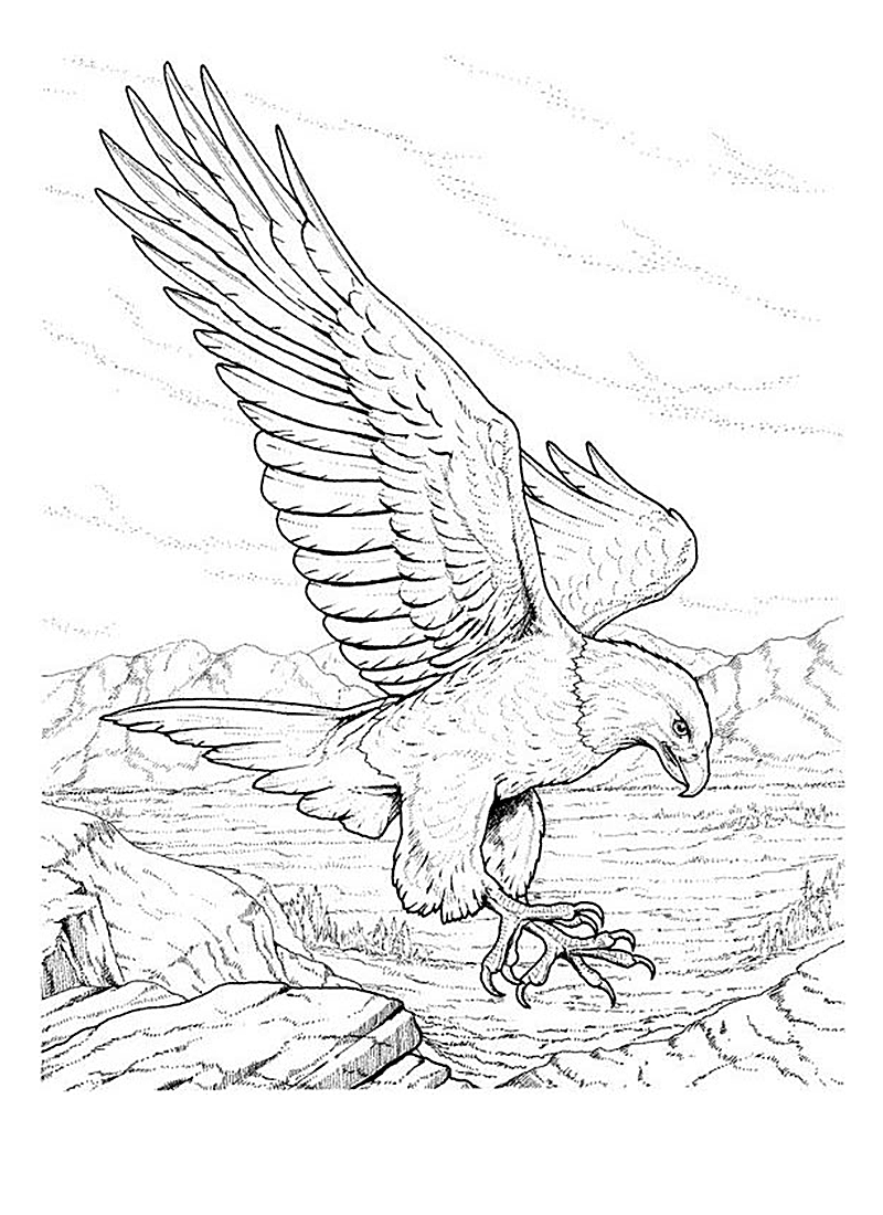 Free Printable Bald Eagle Coloring Pages For Kids