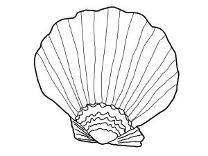Free Printable Seashell Coloring Pages For Kids
