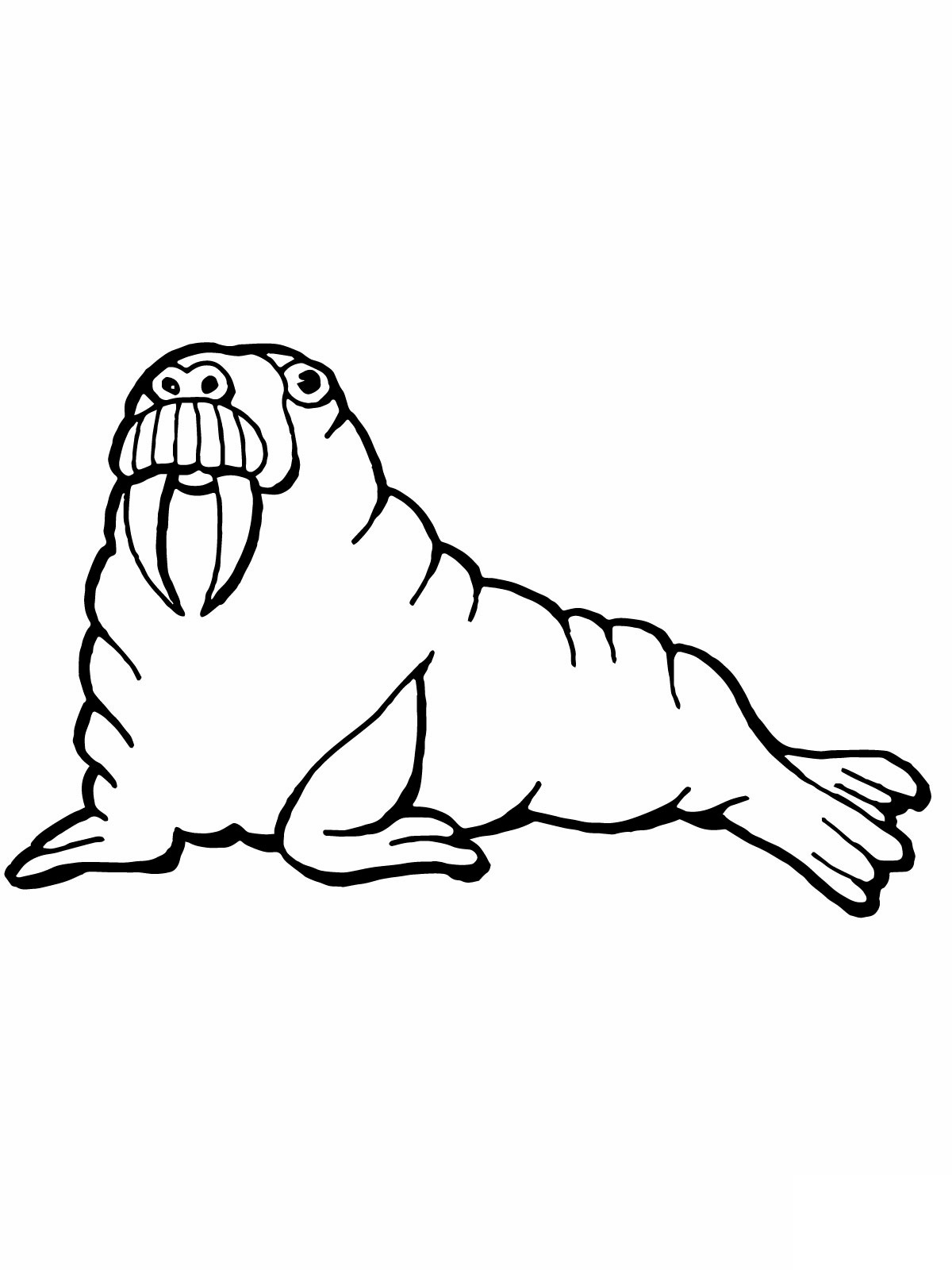 Download Free Printable Walrus Coloring Pages For Kids