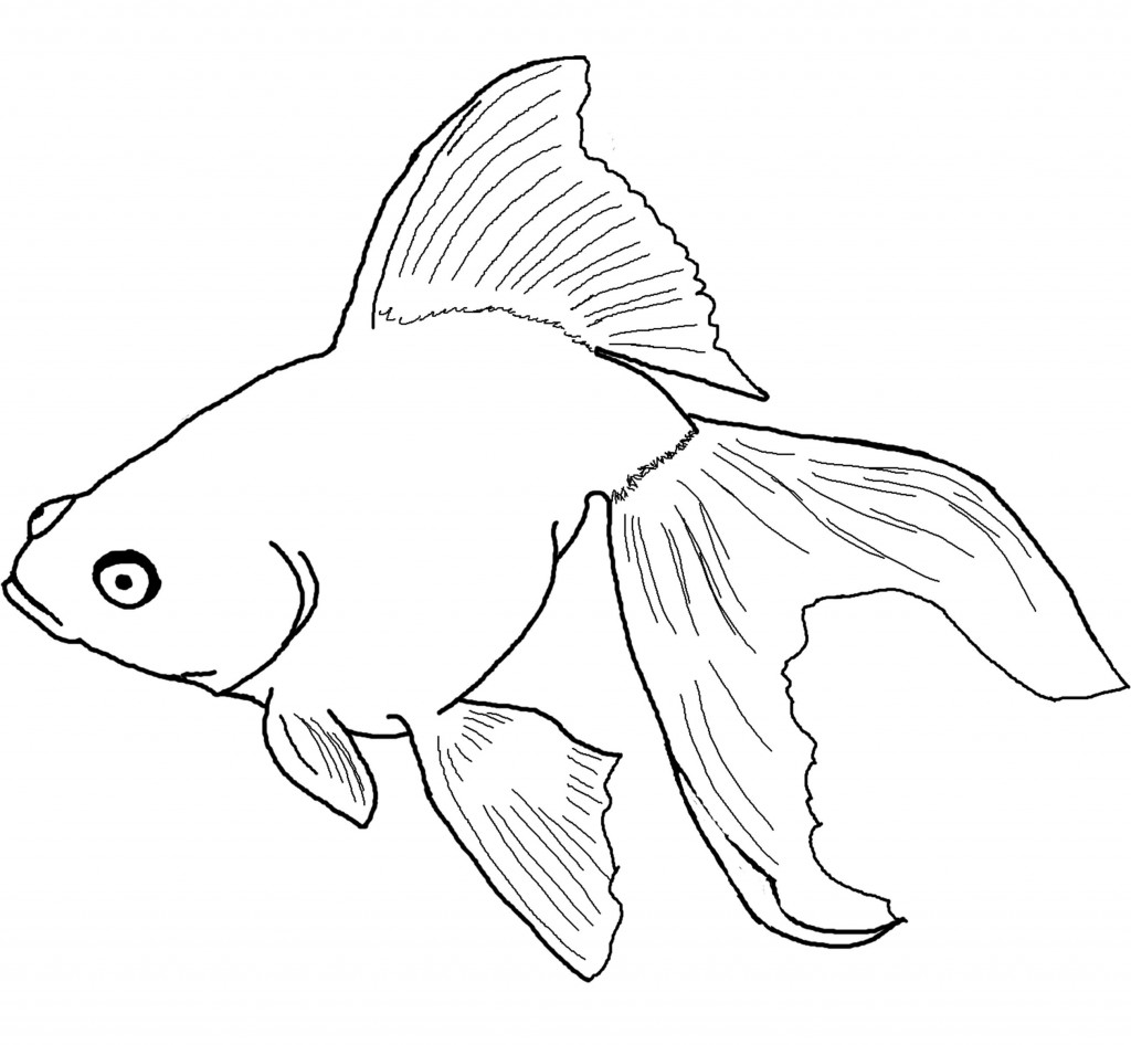 Goldfish Coloring Pages