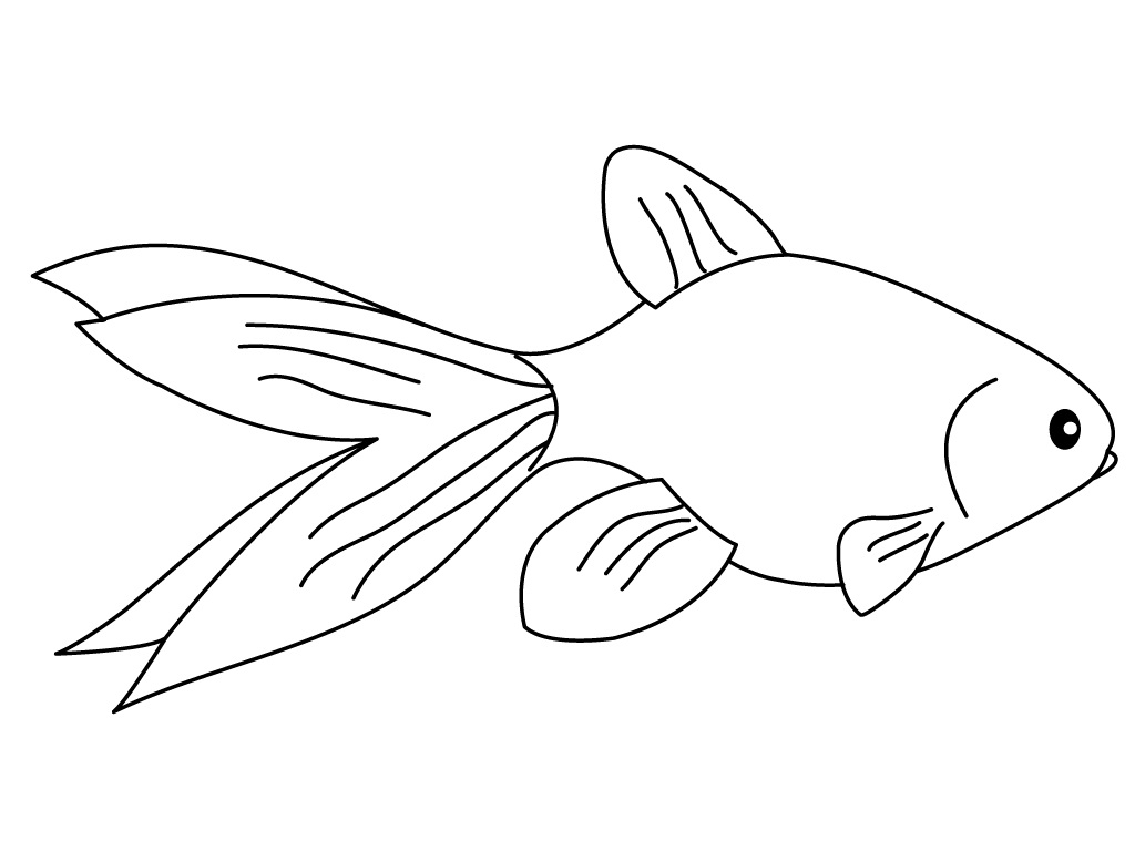 Goldfish Coloring Pages For Kids