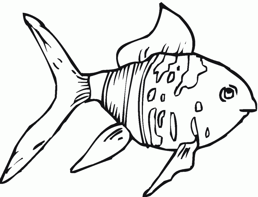 Goldfish Coloring Pages Printable