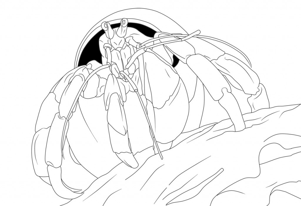 Hermit Crab Coloring Pages Free Printable