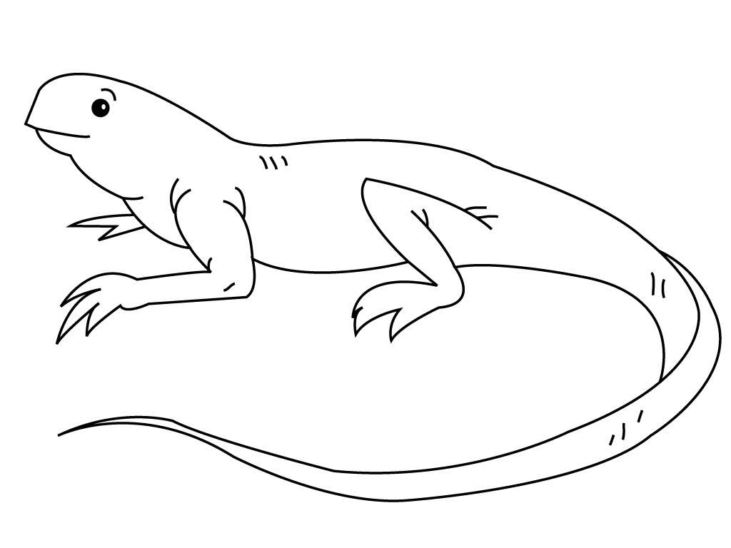Iguana Coloring Pages For Kids