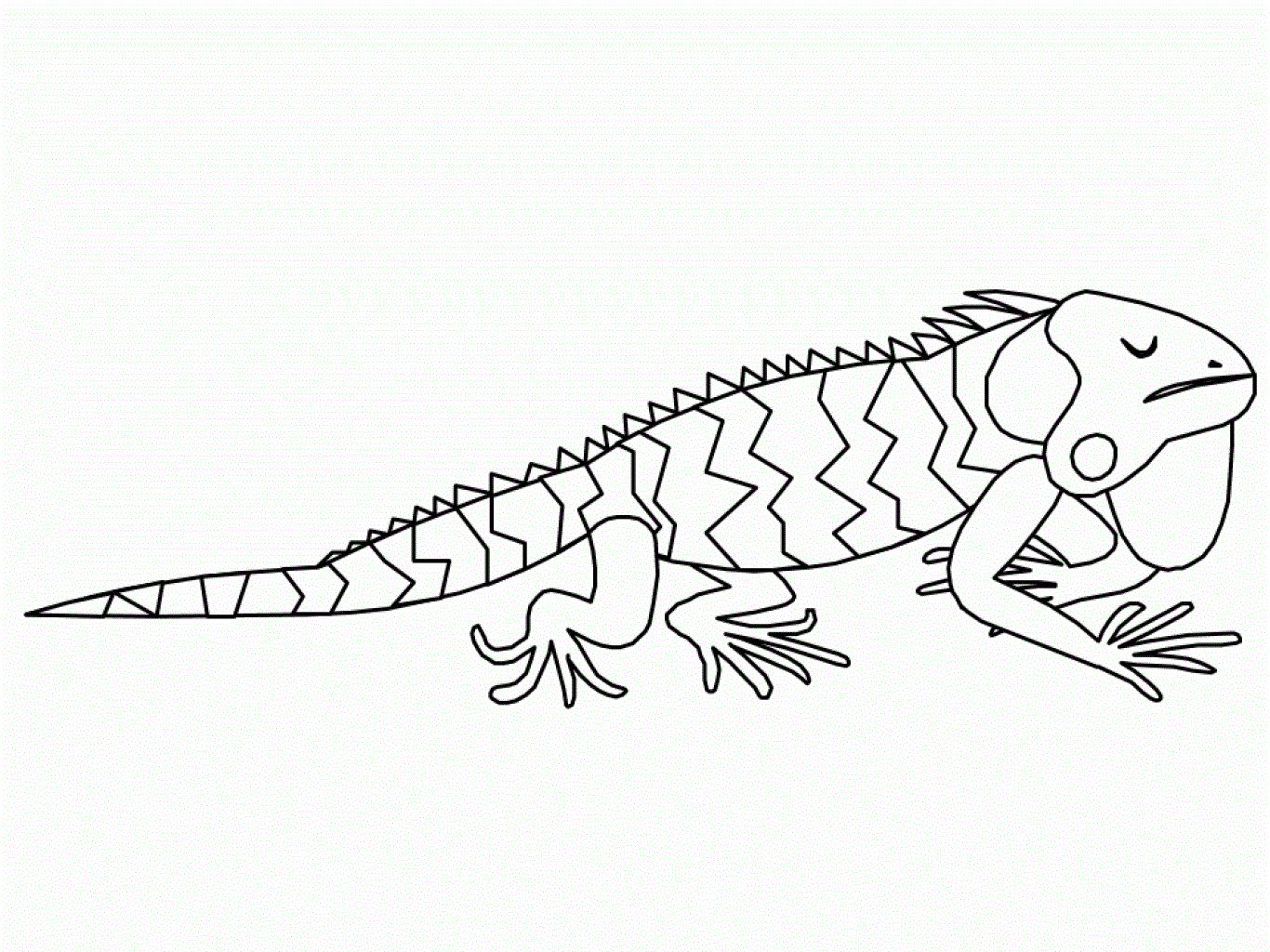 Iguana coloring pages