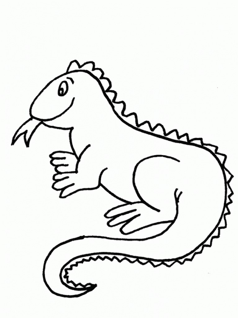Iguana Coloring Pages Printable