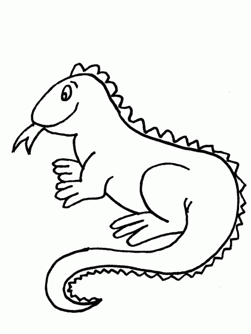 Download Free Printable Iguana Coloring Pages For Kids