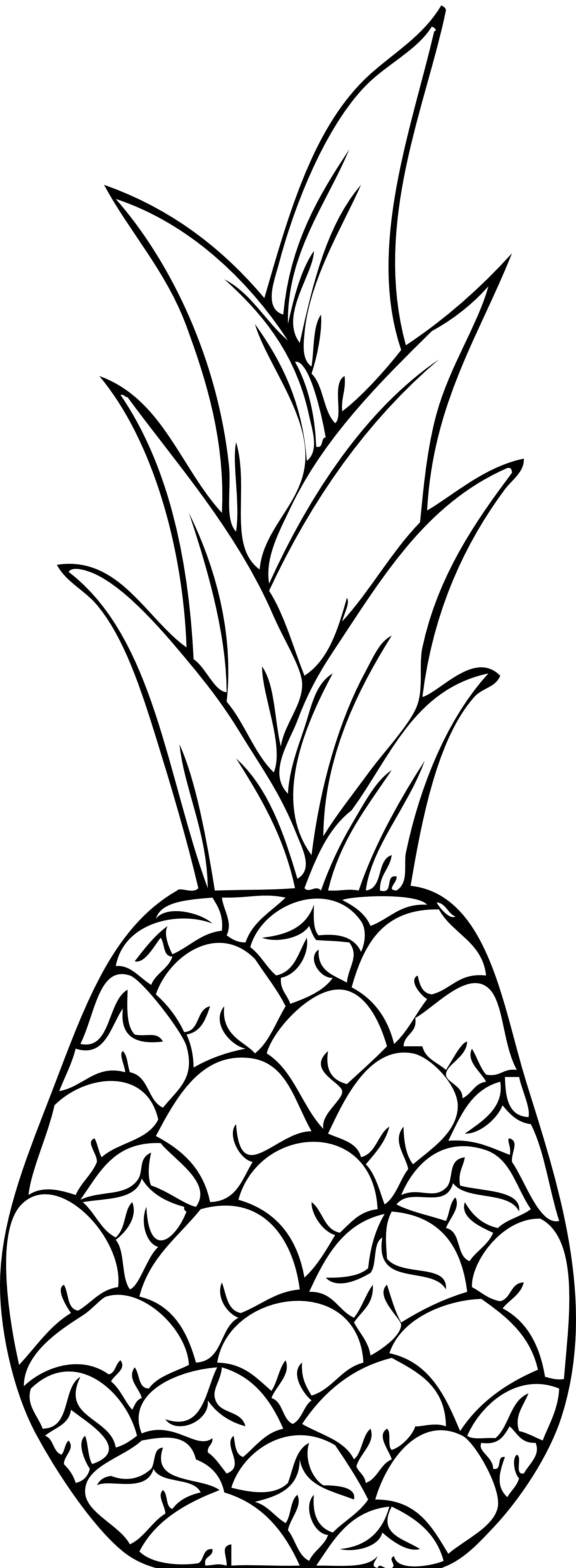 Download Free Printable Pineapple Coloring Pages For Kids