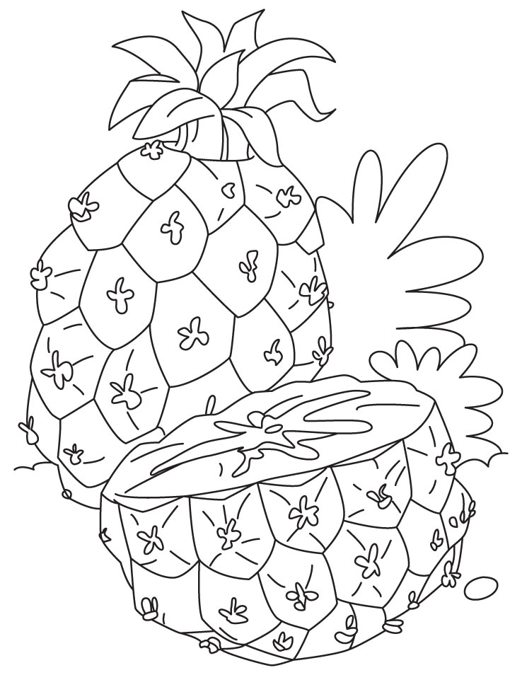 Pineapple Coloring Pages Pictures