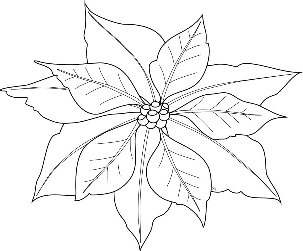 Poinsettia Coloring Page For Kids