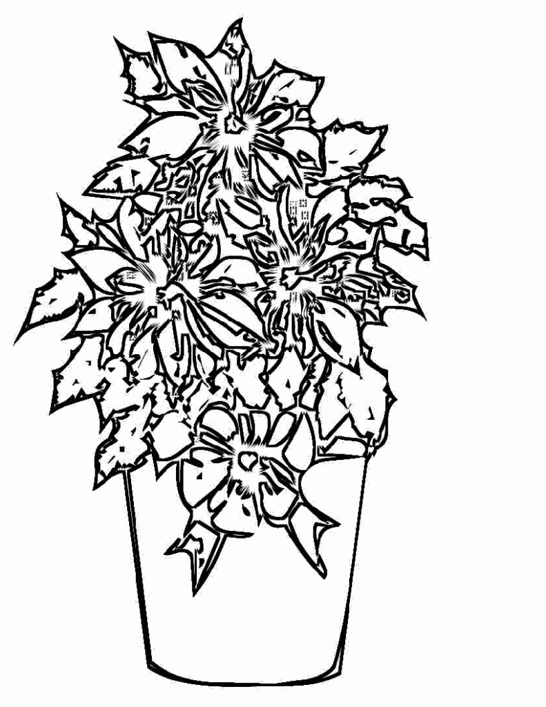 Poinsettia Coloring Page Pictures