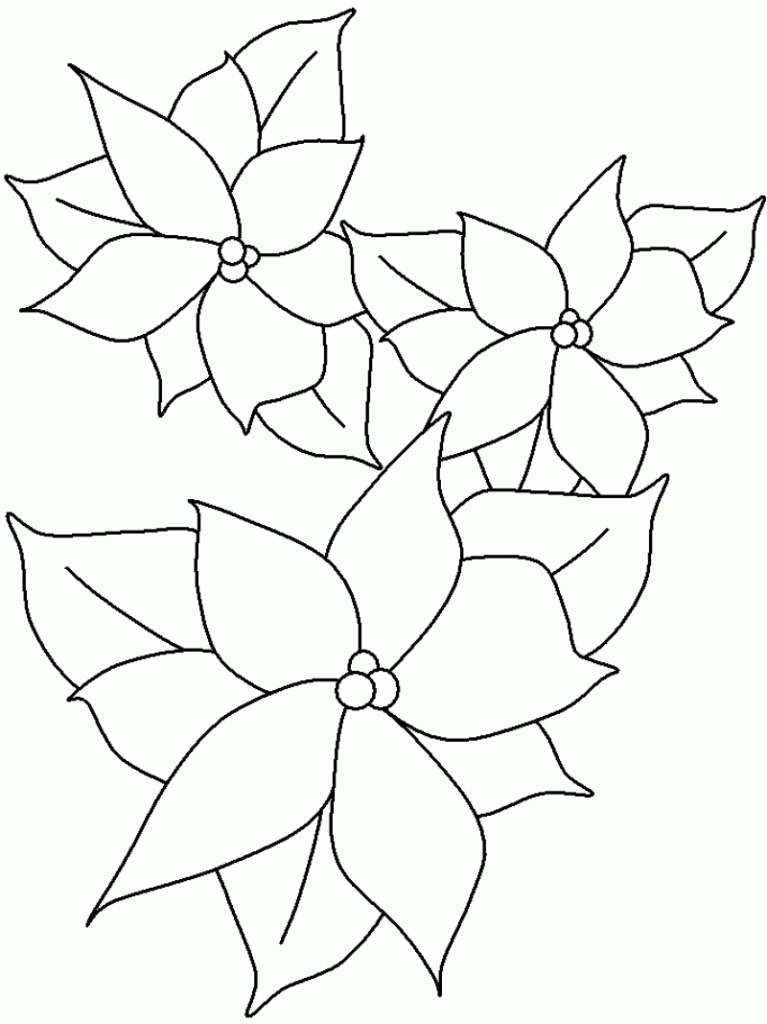 Poinsettia Coloring Pages For Kids