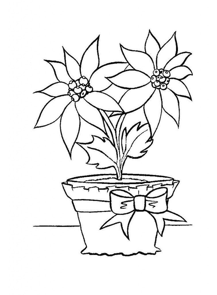 Free Printable Poinsettia Coloring Pages For Kids