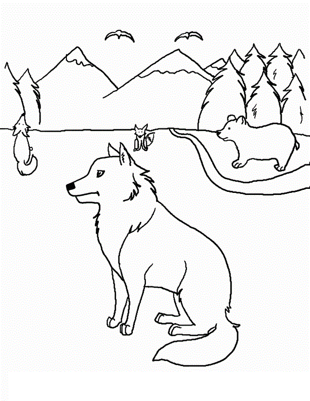 Printable Coyote Coloring Pages