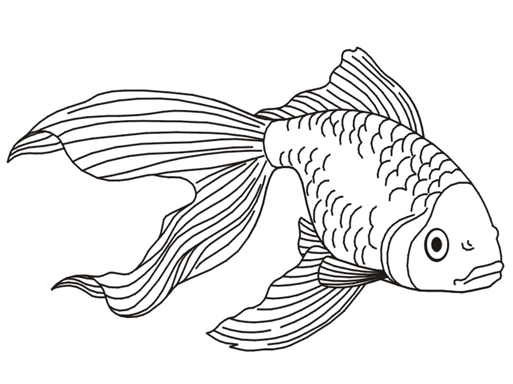 Free Printable Goldfish Coloring Pages For Kids