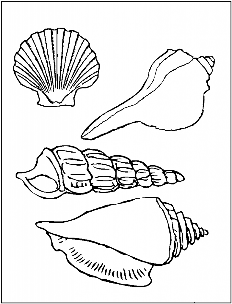 Printable Seashell Coloring Pages