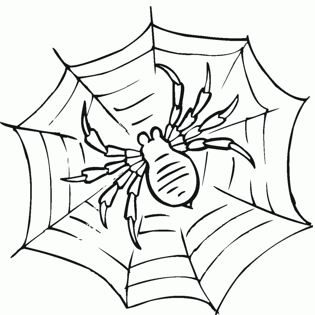 Printable Spider Web Coloring Pages