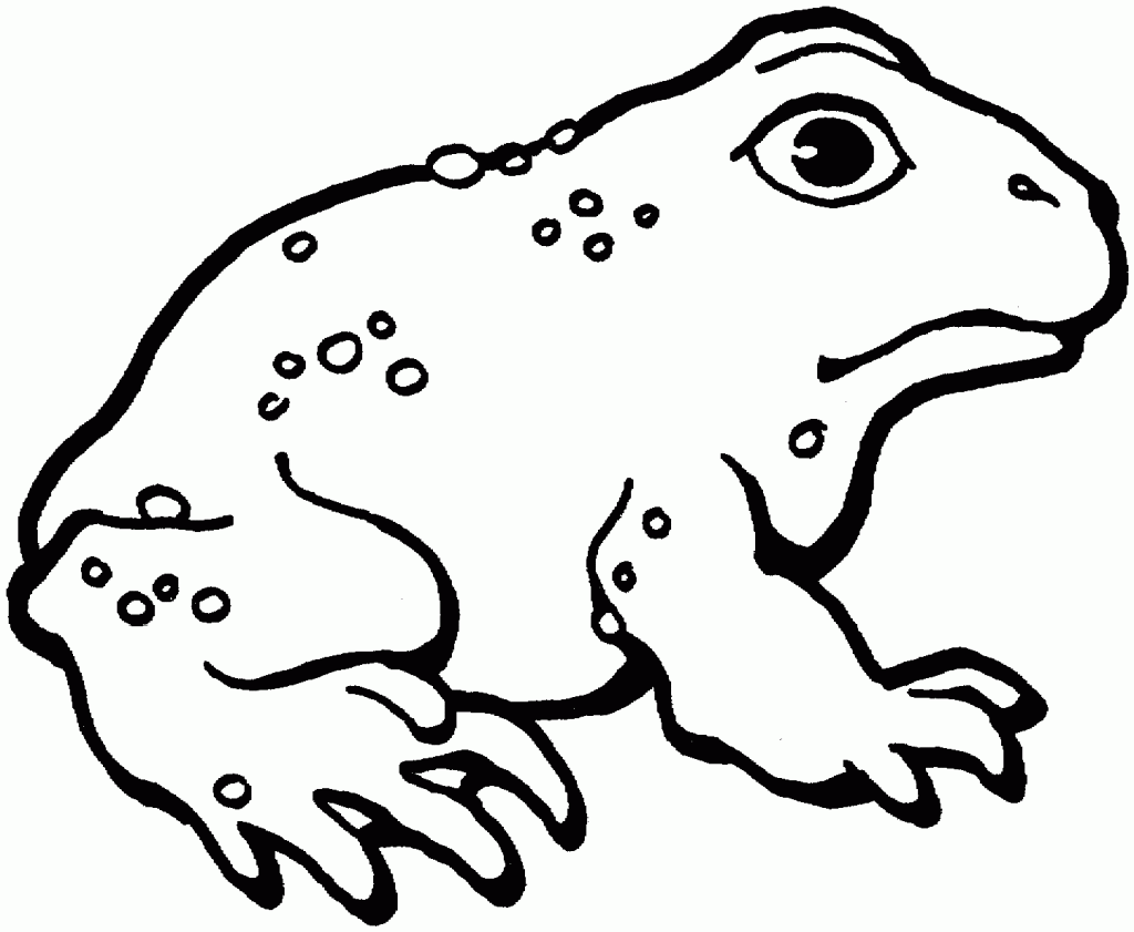 Printable Toad Coloring Pages