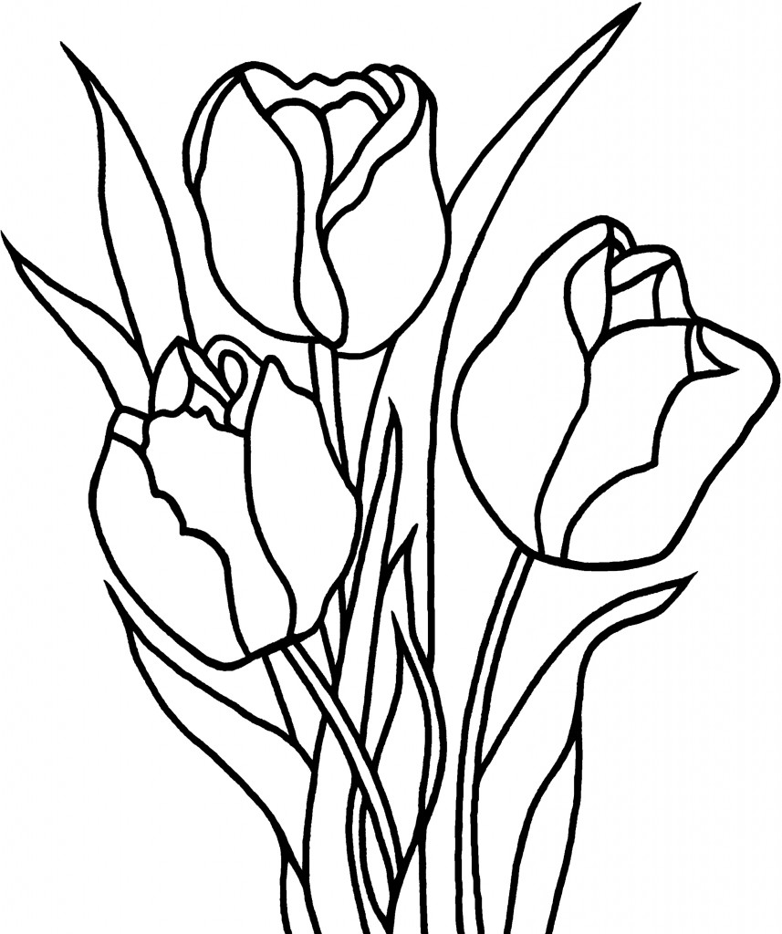 Free Printable Tulip Coloring Pages For Kids