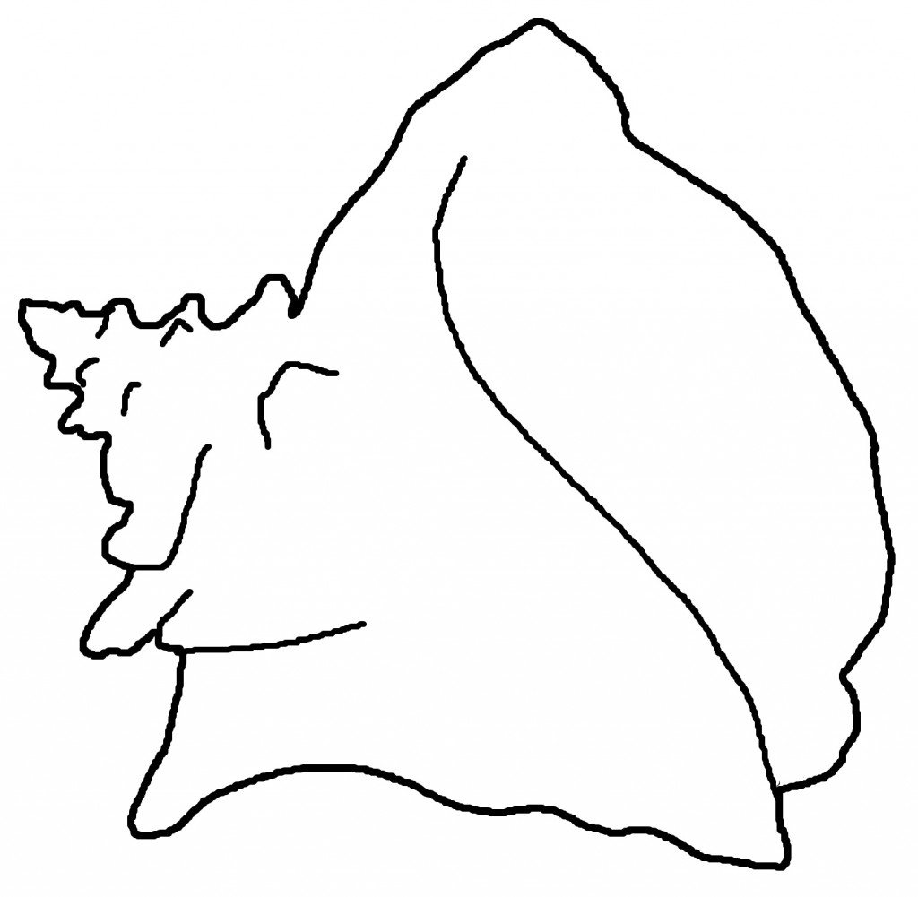 Seashell Coloring Page