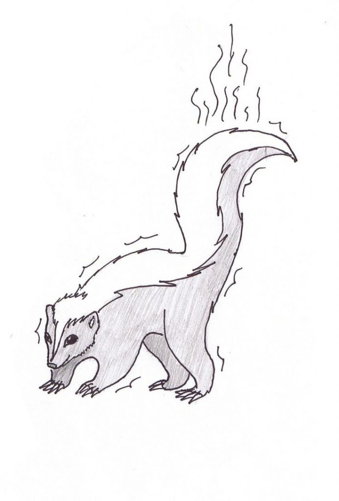 Skunk Coloring Pages Printable