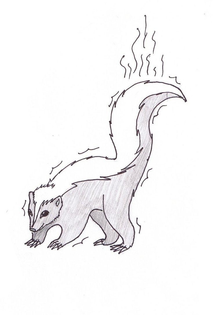 Free Printable Skunk Coloring Pages For Kids