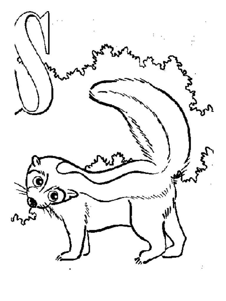 Skunk Coloring Pages To Print
