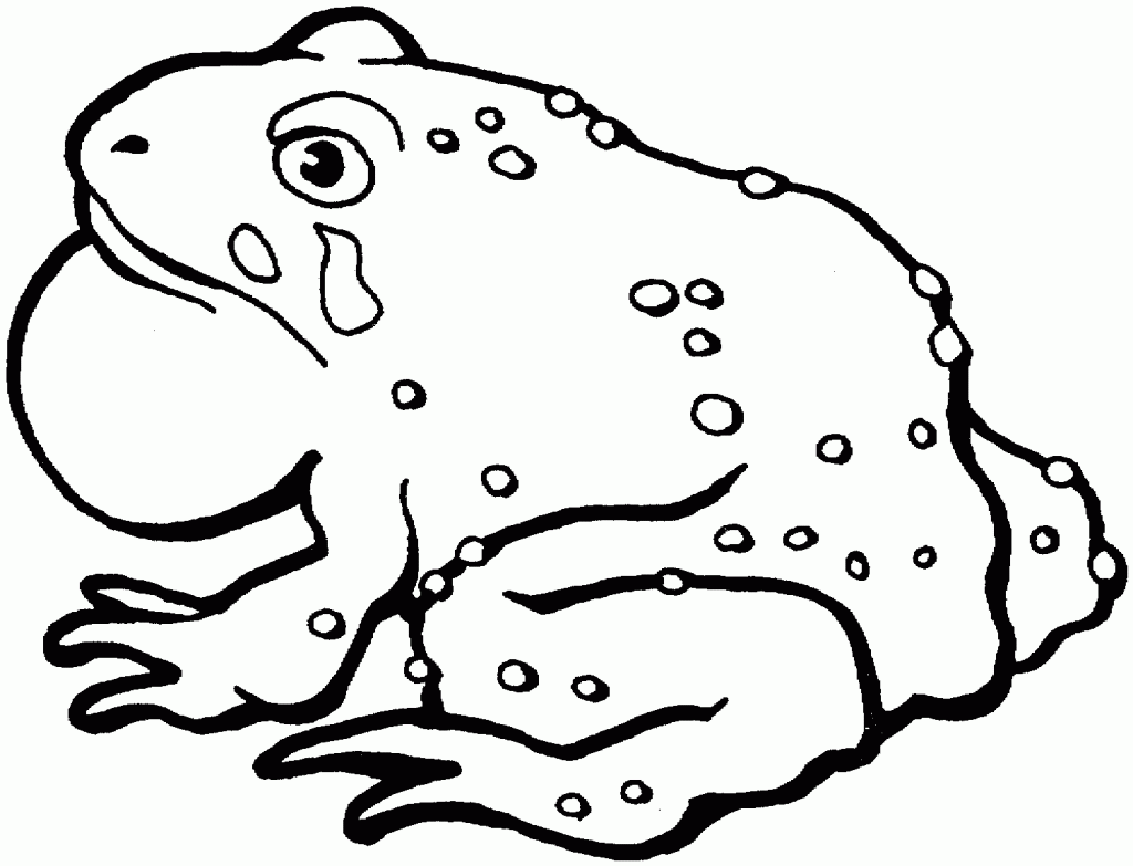 Toad Coloring Pages For Kids