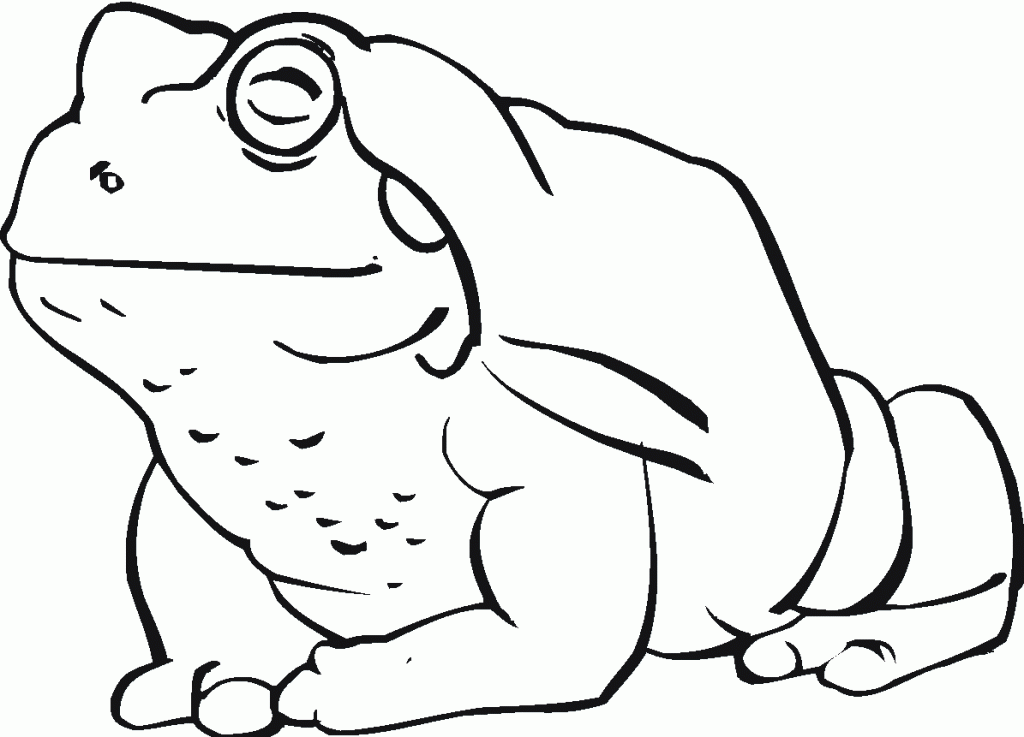 Toad Coloring Pages Pictures