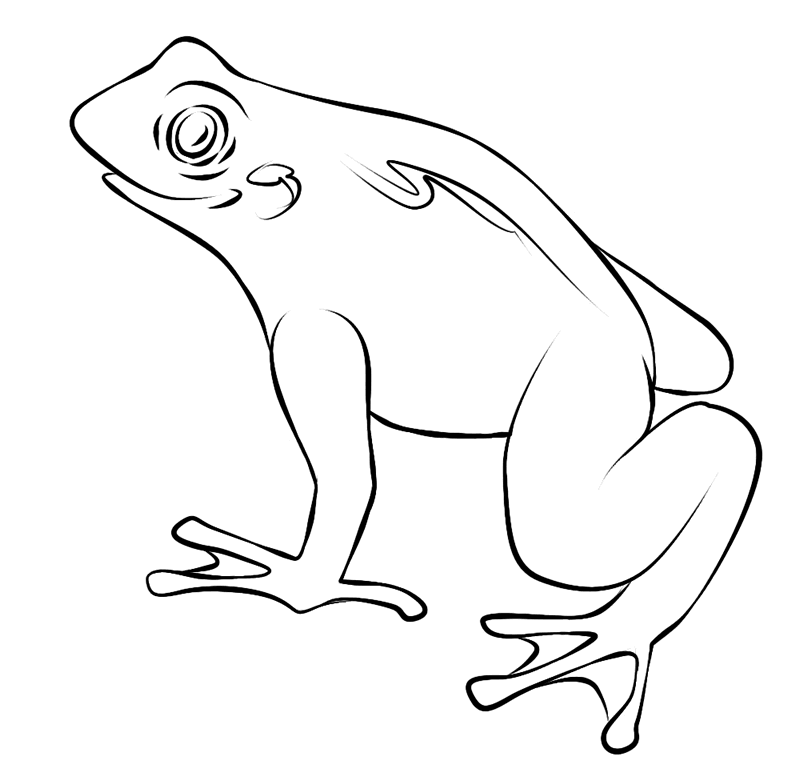 Toad Coloring Pages Printable