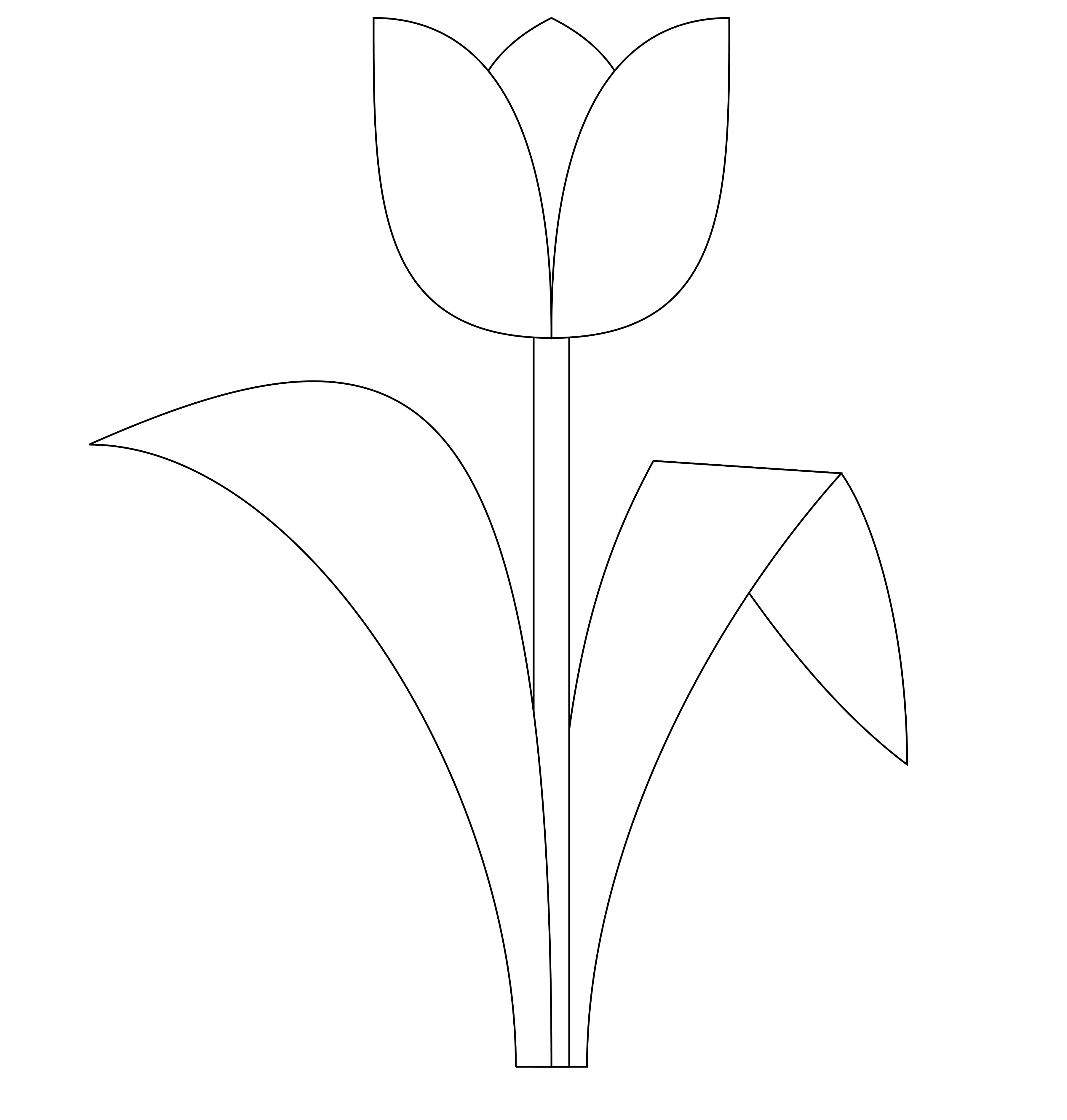 Tulips Templates Free