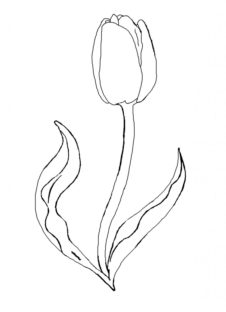 Tulip Coloring Pages