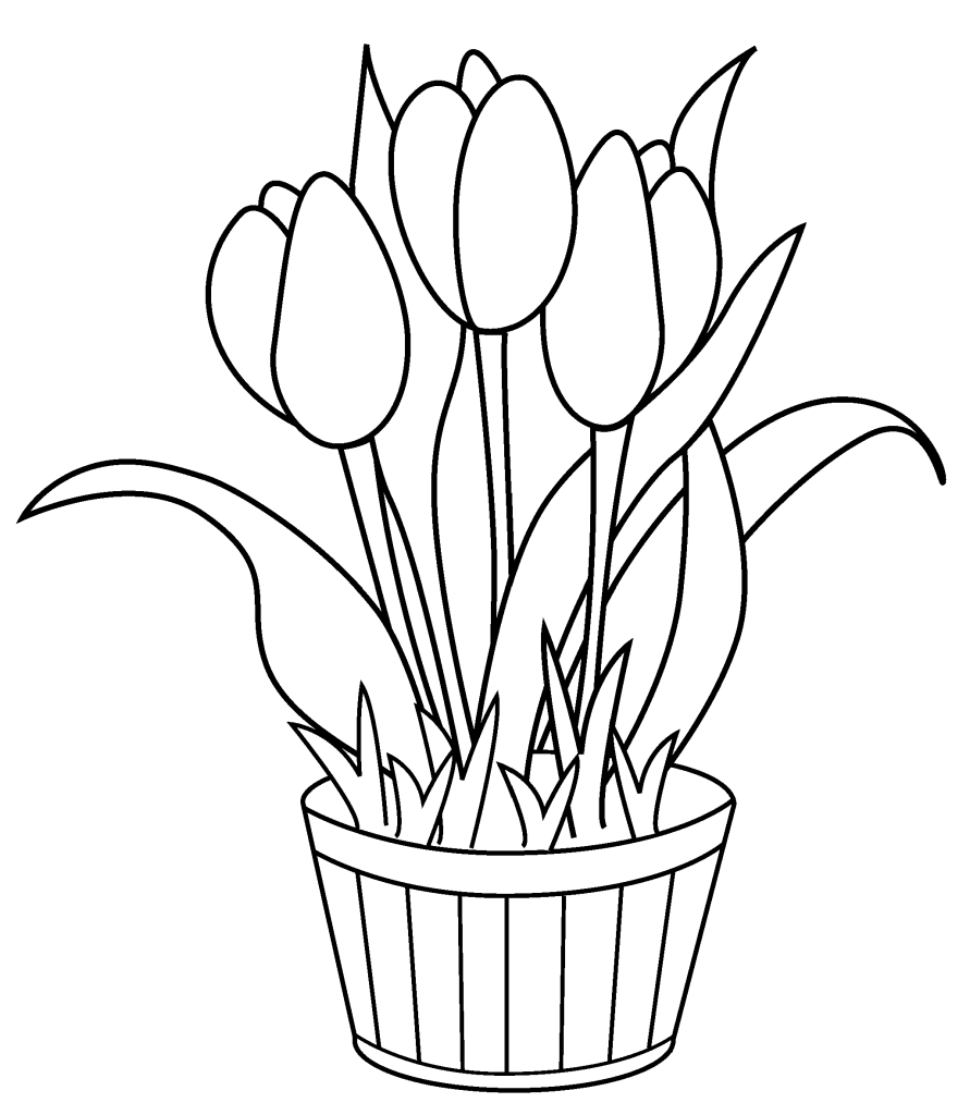 Download Free Printable Tulip Coloring Pages For Kids