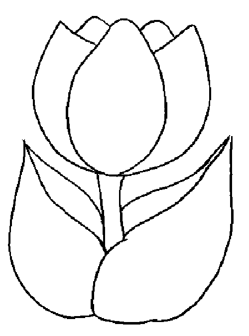 free-printable-tulip-coloring-pages-for-kids