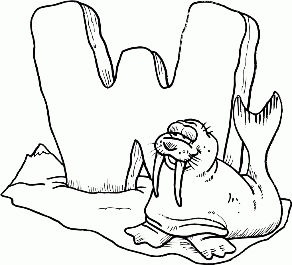 Walrus Coloring Pages