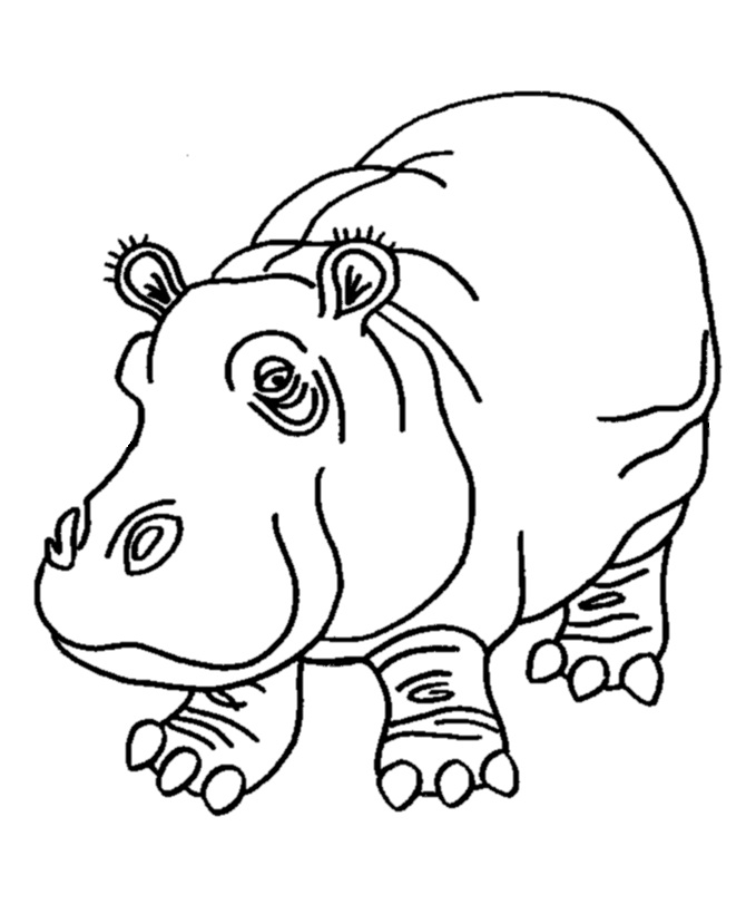 Coloring Pages of Hippo