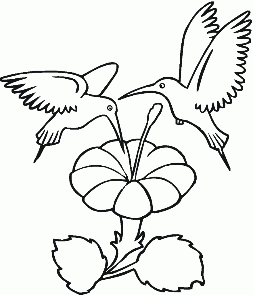 Coloring Pages of Hummingbird