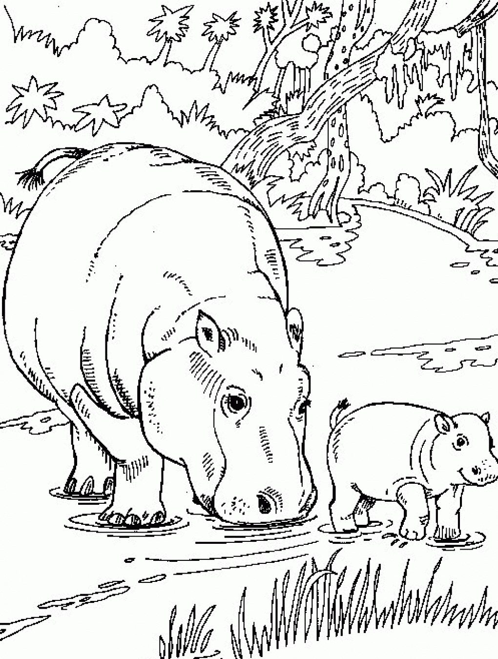 hippo coloring pages