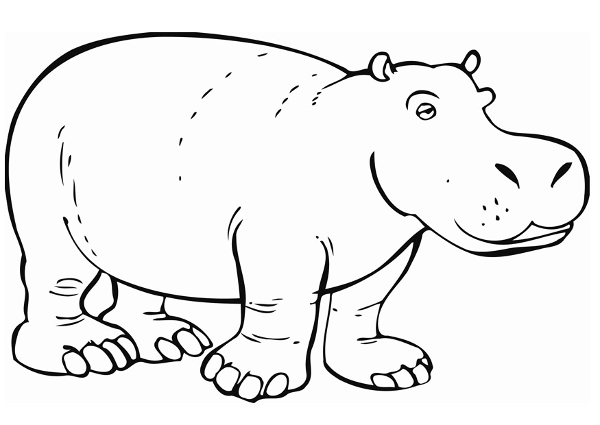 Hippo Coloring Pages To Print