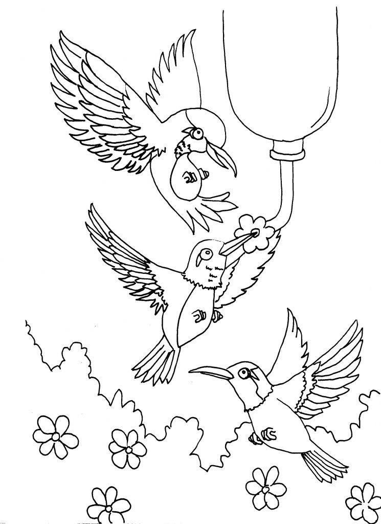 Hummingbird Coloring Pages