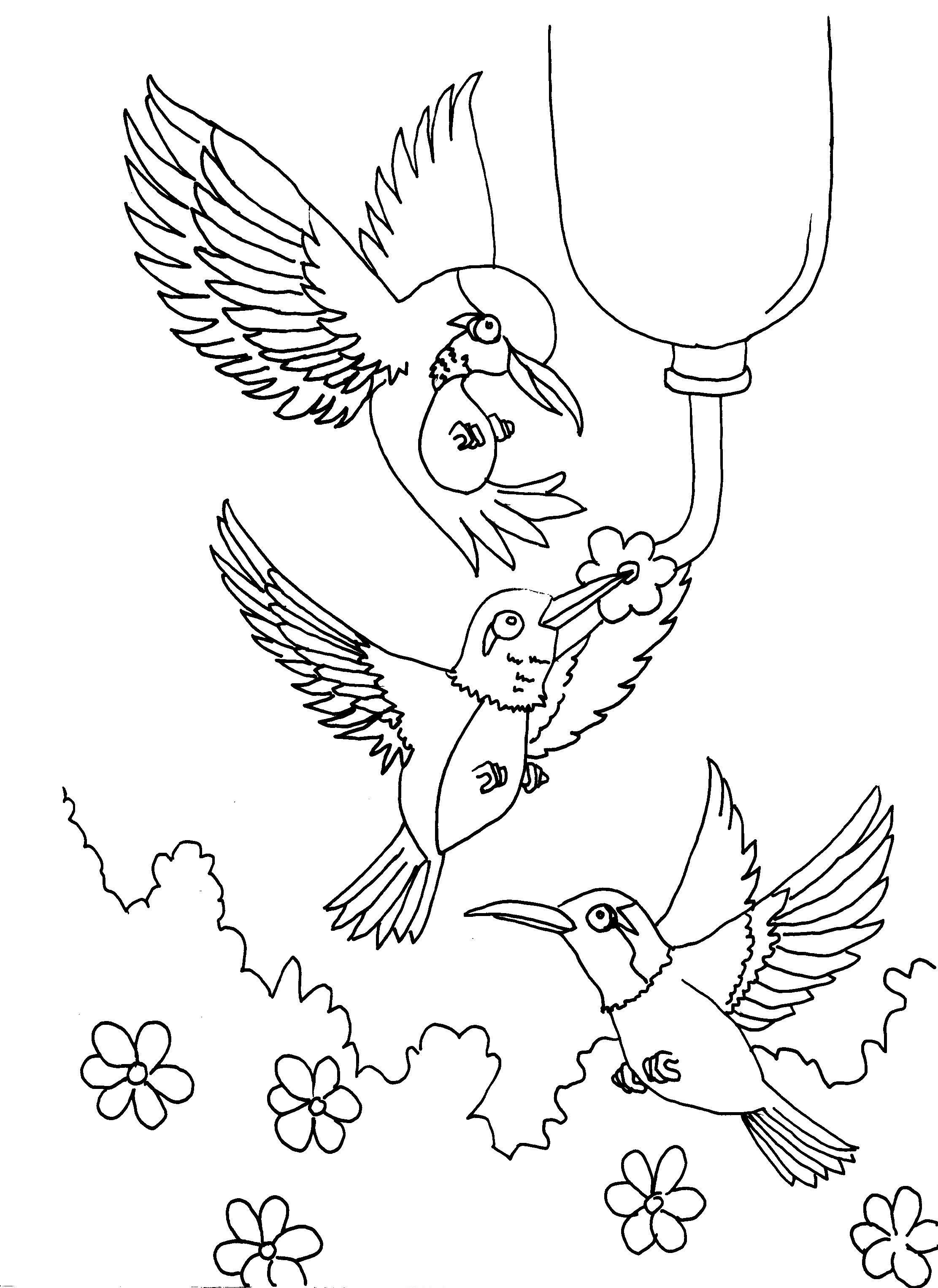 free-printable-hummingbird-coloring-pages-for-kids