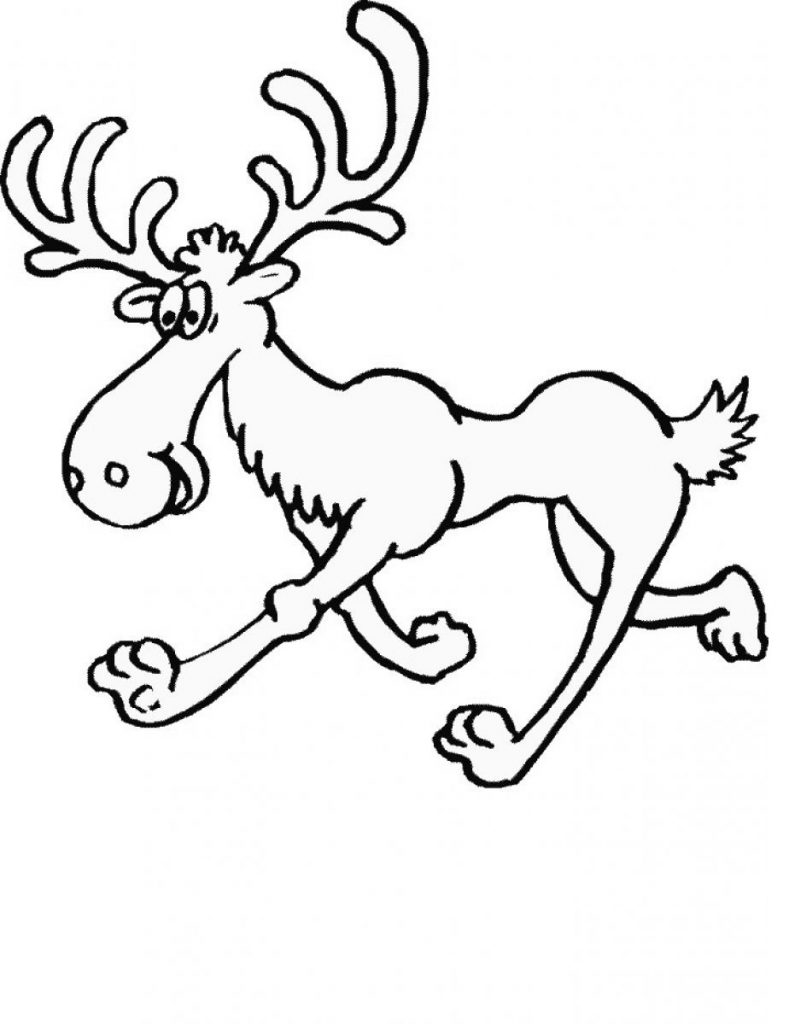 Moose Coloring Page