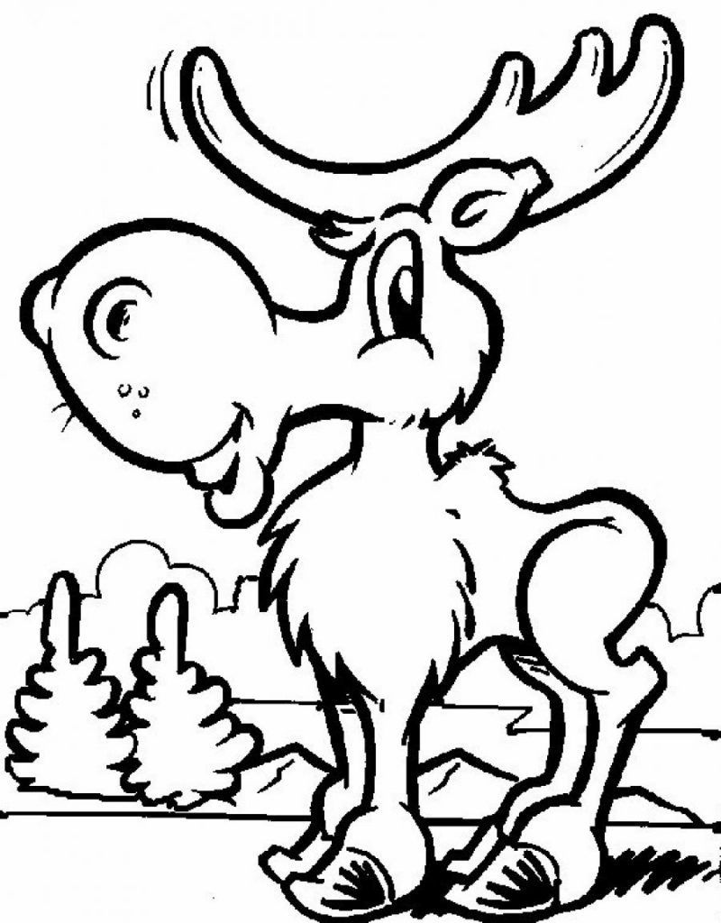 moose coloring printable