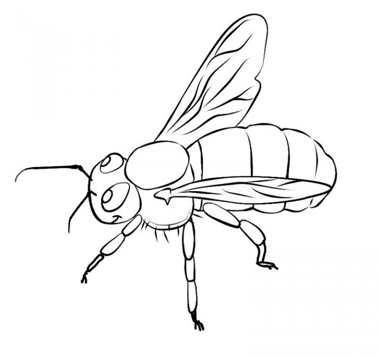Free Printable Bee Coloring Pages For Kids
