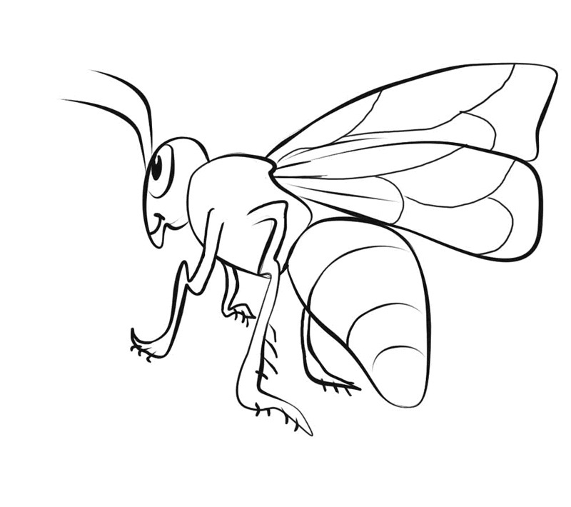 Coloring Page of Bee